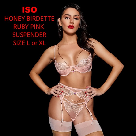 ISO Honey Birdette RUBY PINK SUSPENDER - Picture 1 of 1